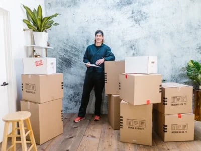 Mit einer kompetenten Zügelfirma Zürich entspannt ins neue Zuhause