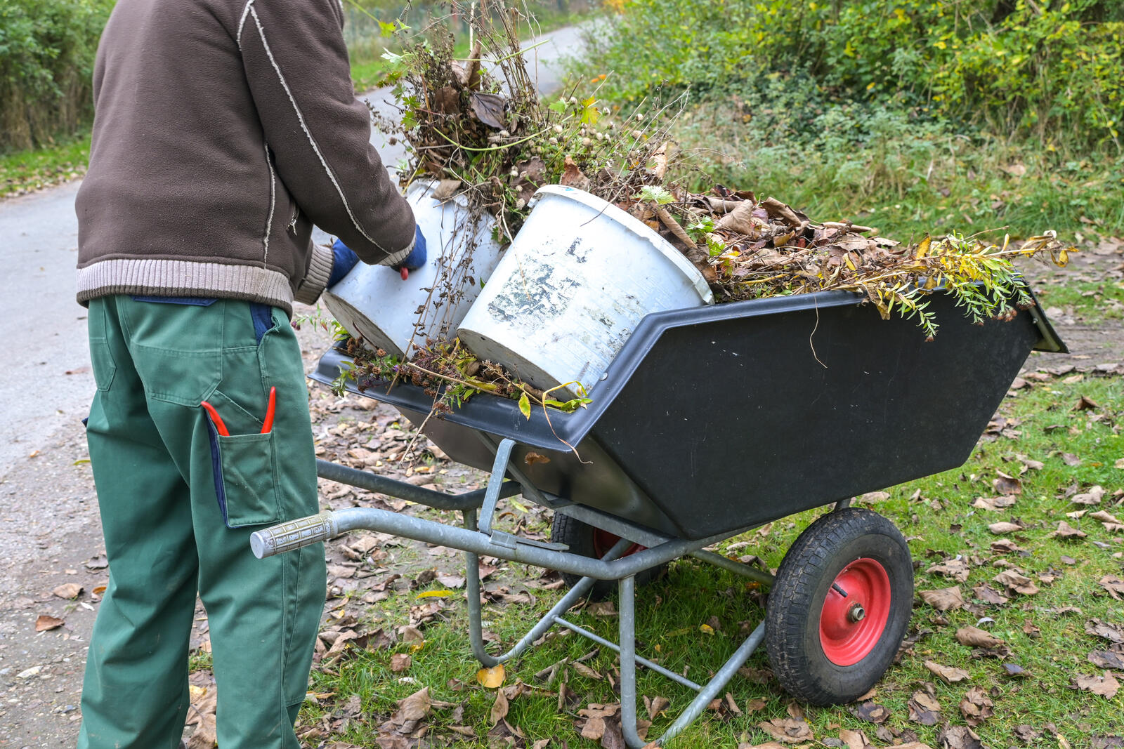 Gartenabfall Entsorgen Kosten im Überblick: Gartenabfall Abholen Lassen für Ihre bequeme Entsorgung in Hamburg