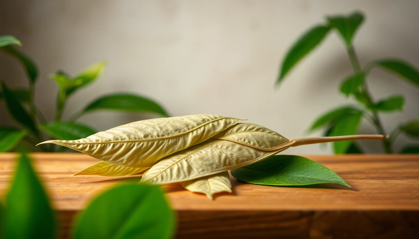 Entdecken Sie die Ruhe mit Kratom von https://www.kratombird.de – hochwertige Blätter perfekt präsentiert.